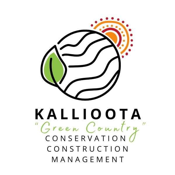 Kallioota
